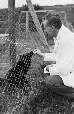 MR O'CDRISCOLL'S SILVER FOX FARM